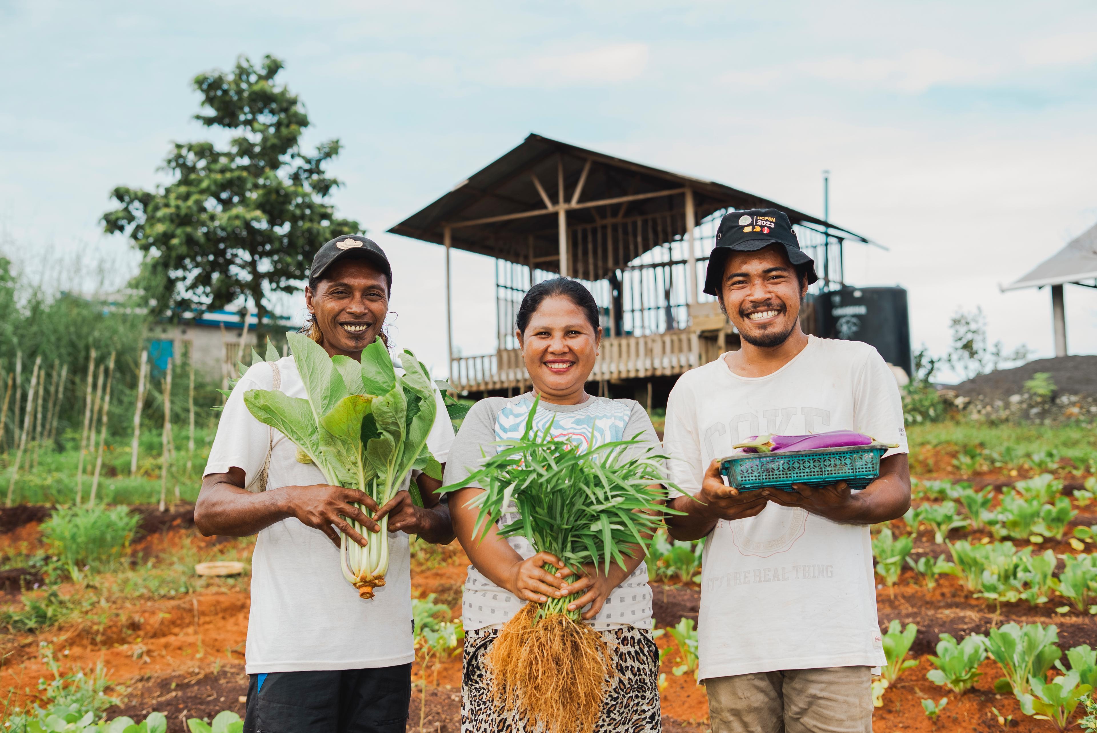 Our Commitment to Food Security and Natural Resource Conservation on Obi Island