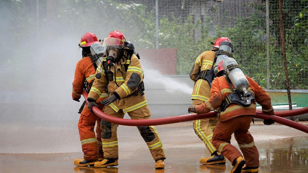 media
