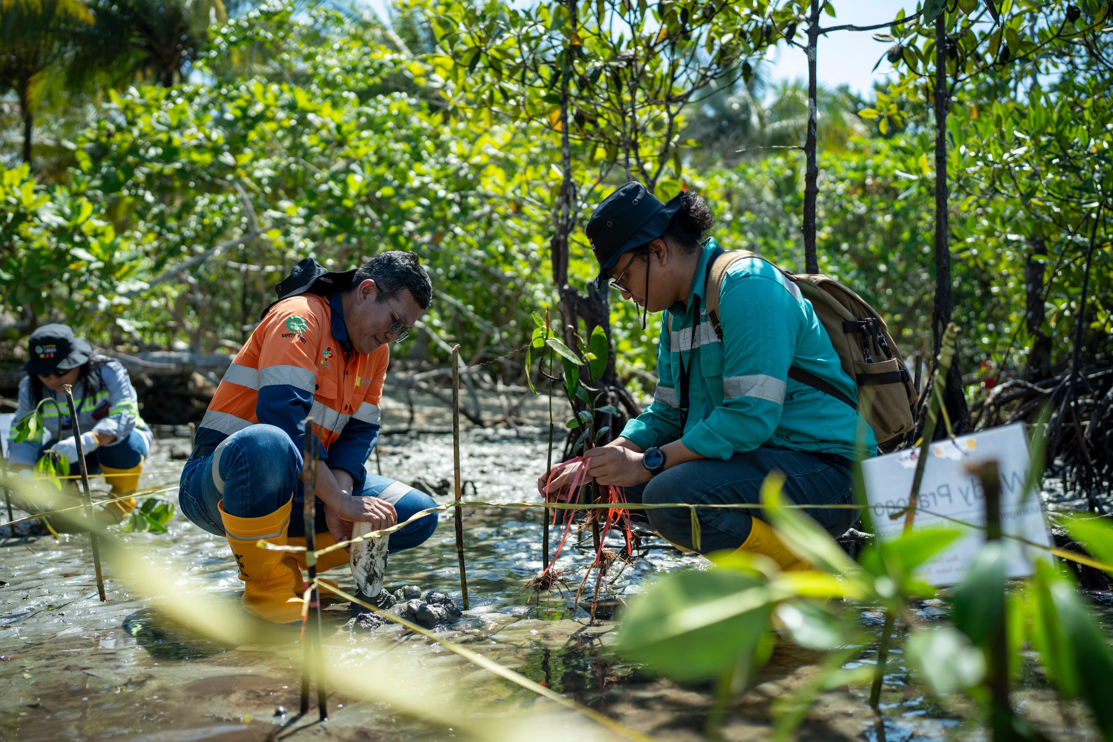 Prioritizing Sustainability, Harita Nickel (NCKL) Remains Focused on Operational Efficiency