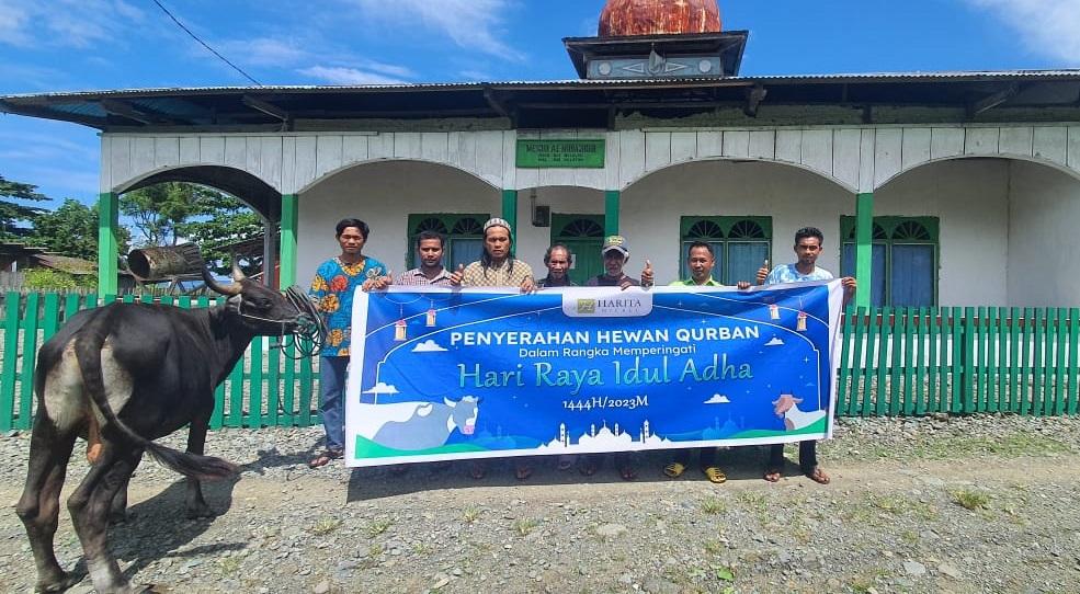 Harita Nickel Salurkan 34 Hewan Kurban dan Berdayakan Peternak Lokal di Pulau Obi
