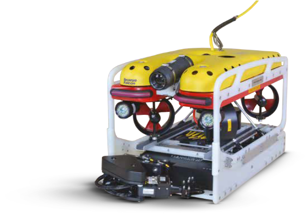 Rov